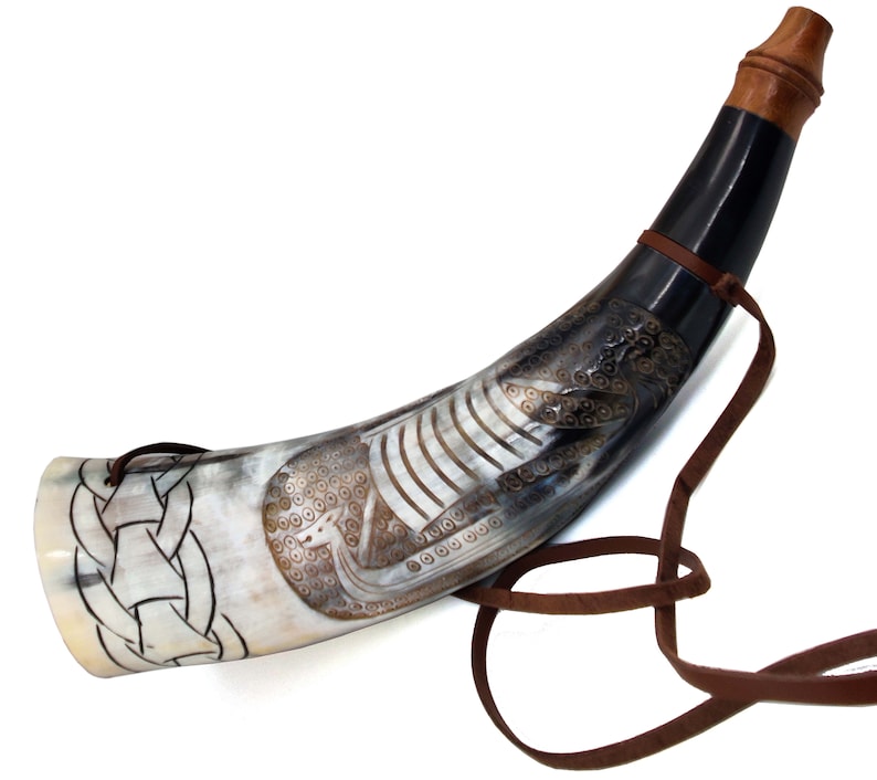 African Drinking Horn - Image 4