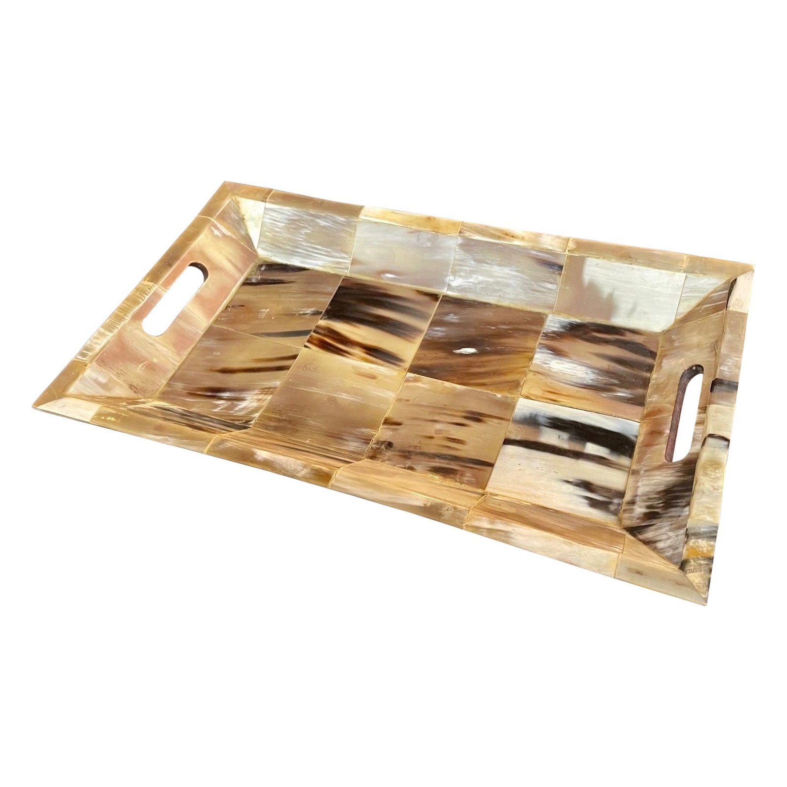 Horn Tray