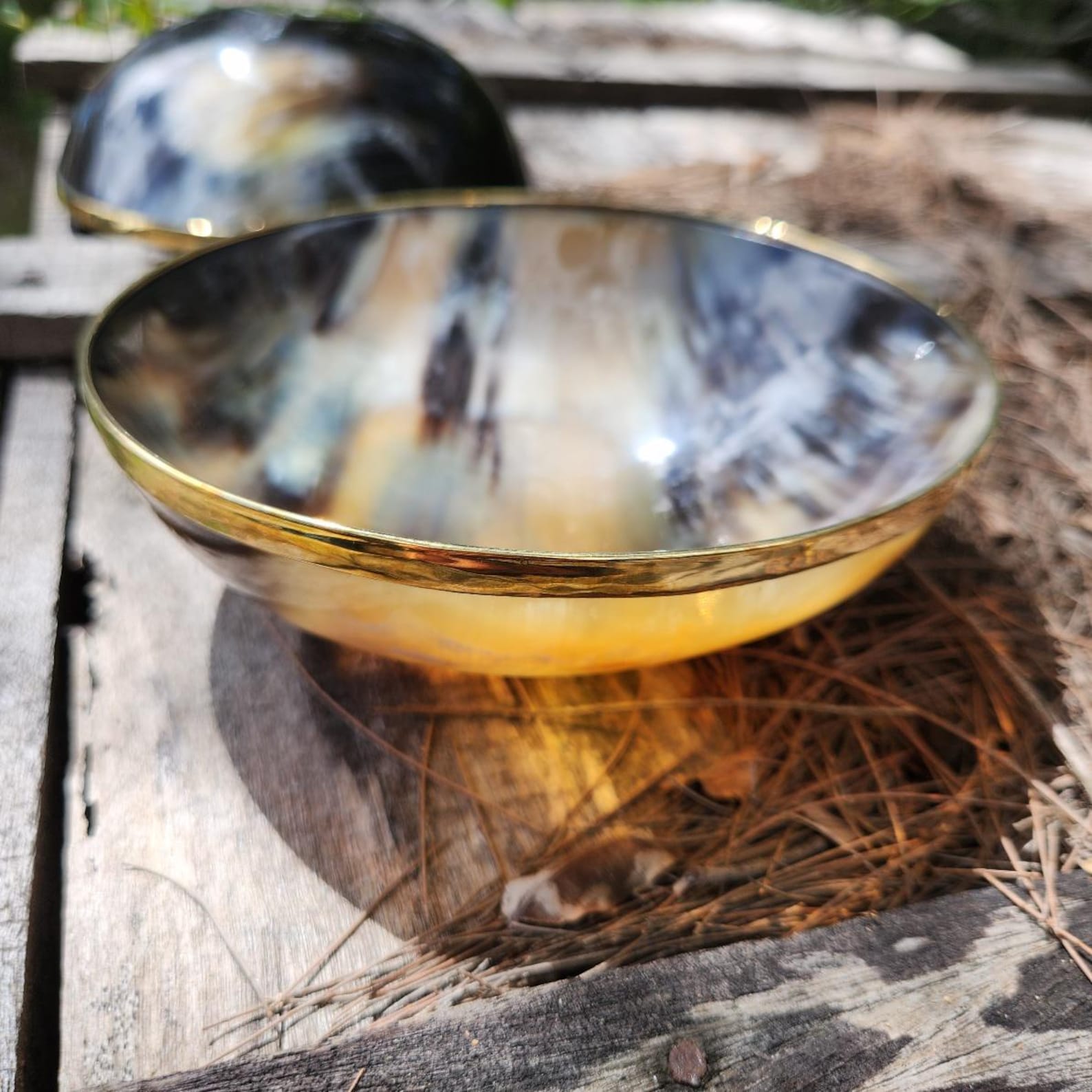 Ox Horn Palm Bowl