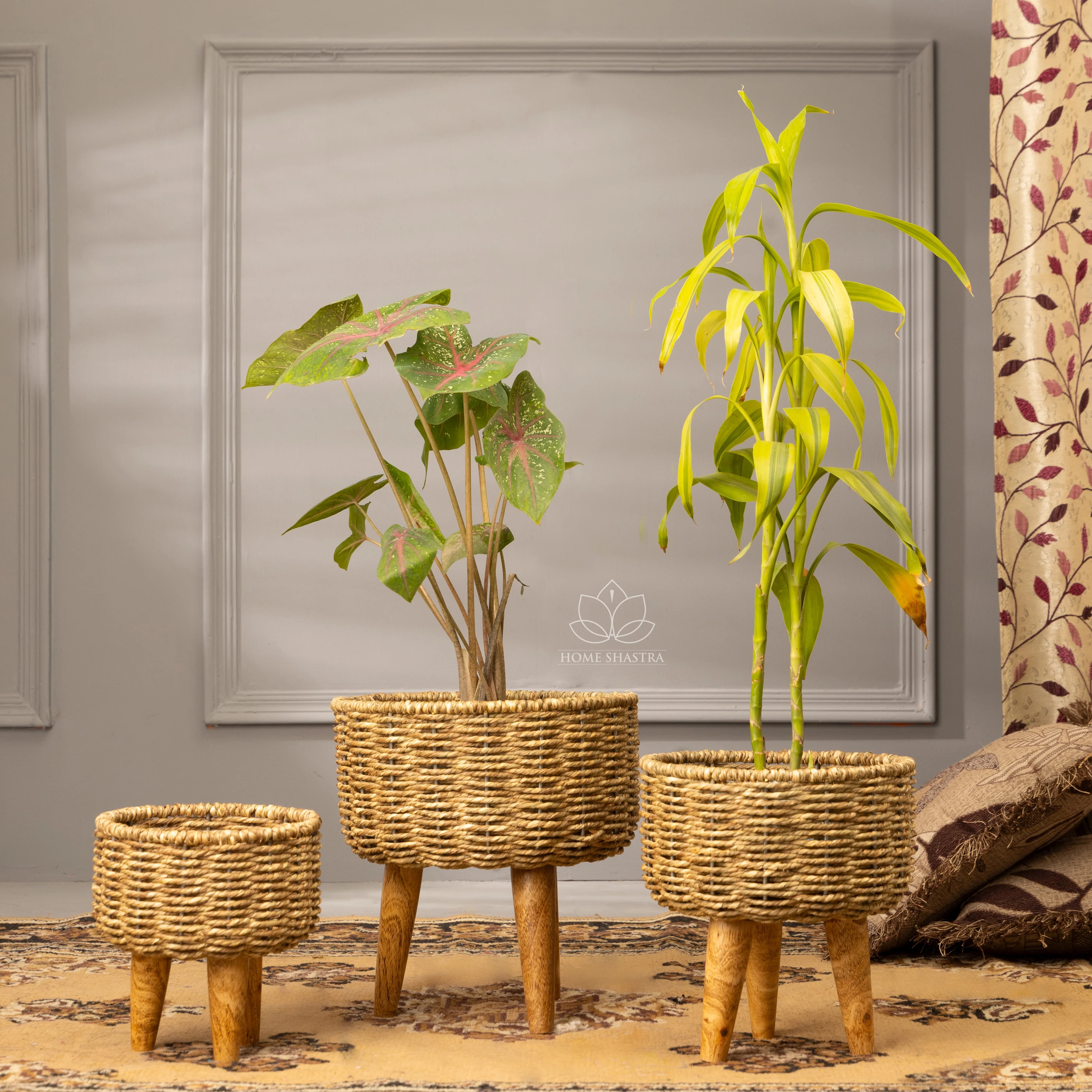 Jute Planter Set